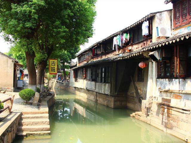 茂密丛林逃生