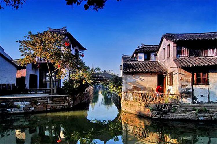 国内外基本面改善 三大油脂后市有望继续走强？